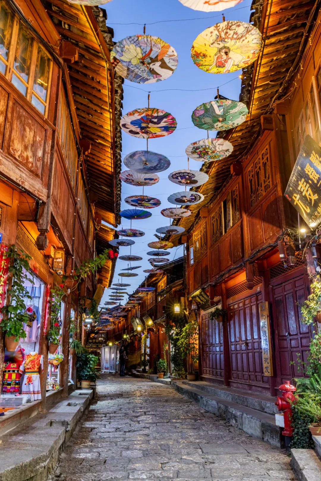 云南省文化和旅游厅