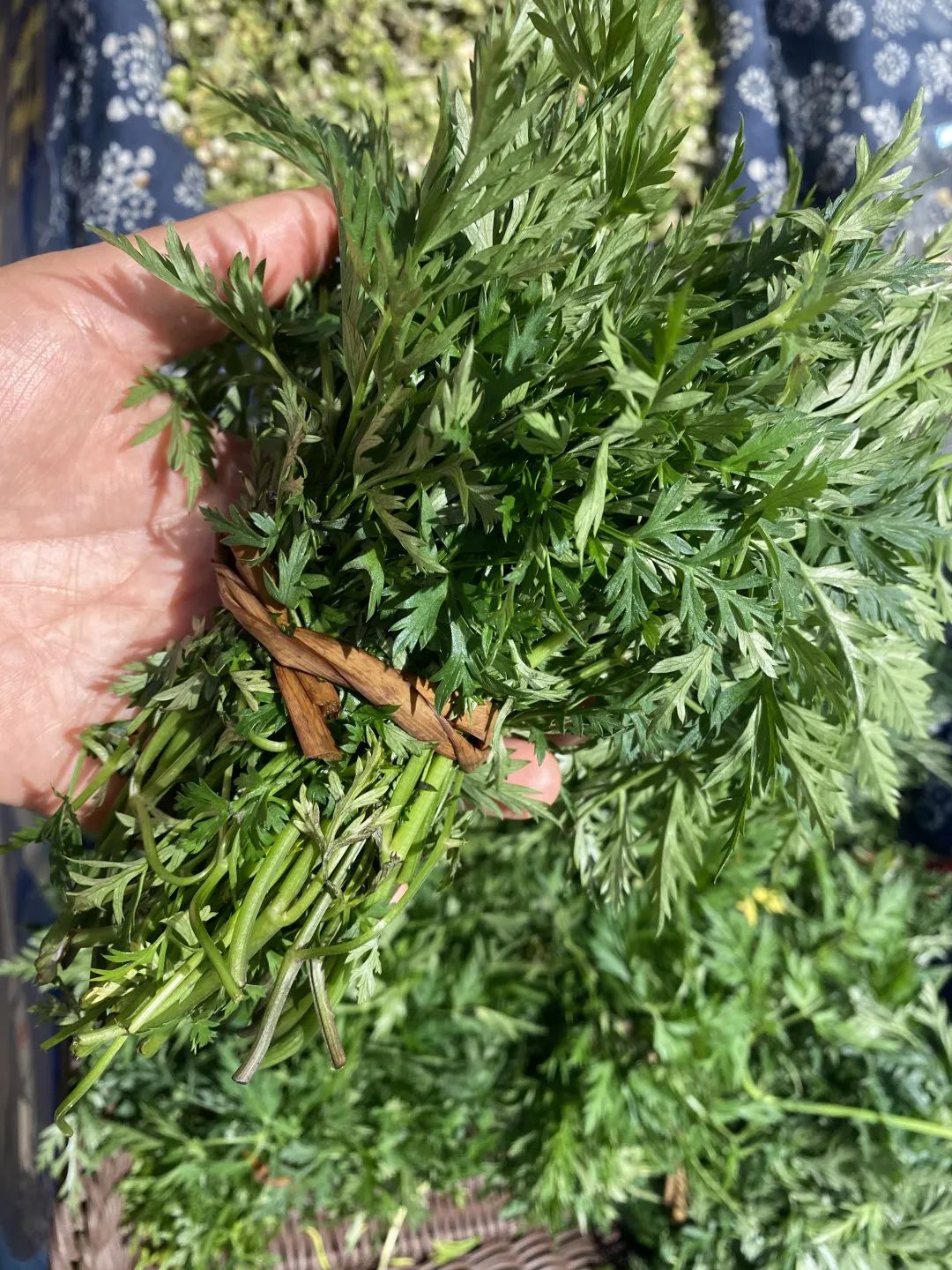 红河日报