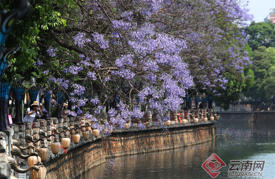 新华网云南频道