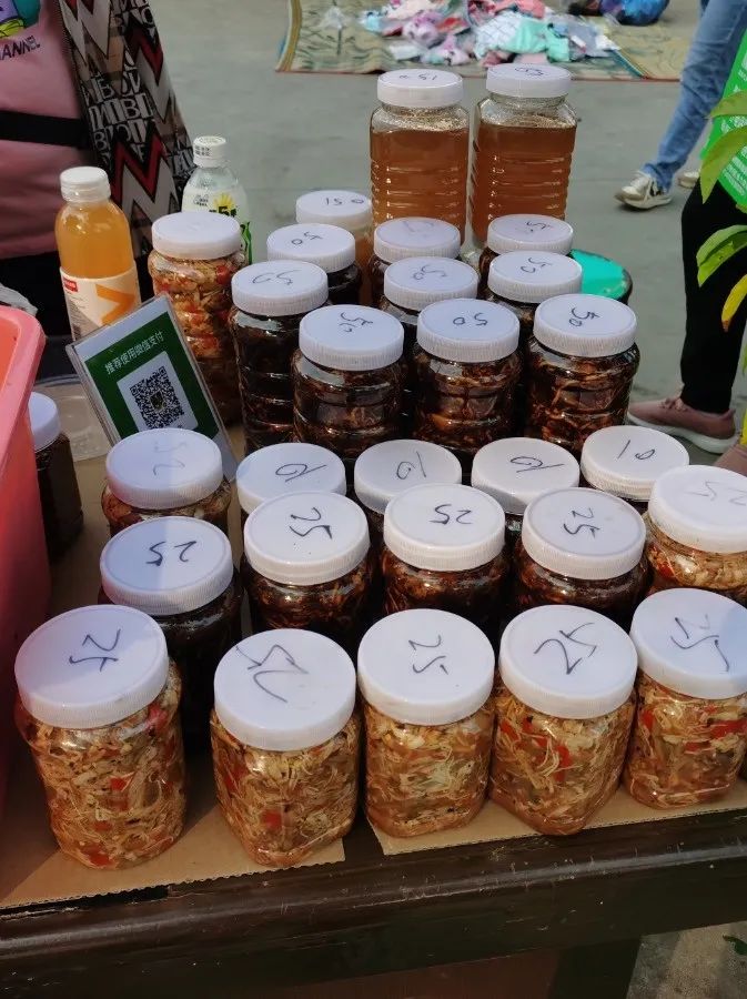 西双版纳望天树景区