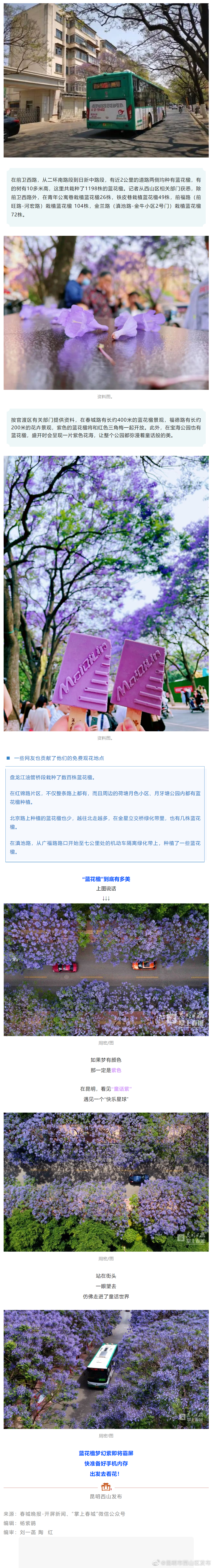 昆明市西山区发布