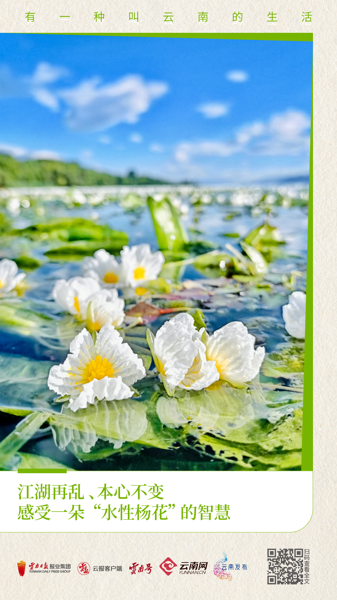 云南省文化和旅游厅