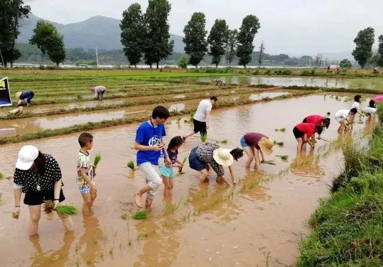 昆明文旅