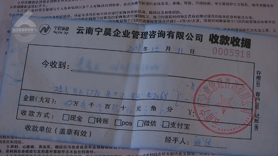 掌上春城