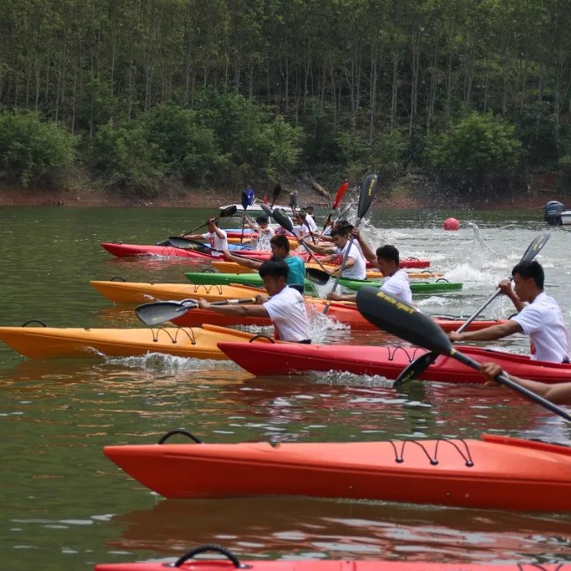 西双版纳望天树景区