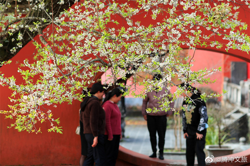 腾冲文旅微博