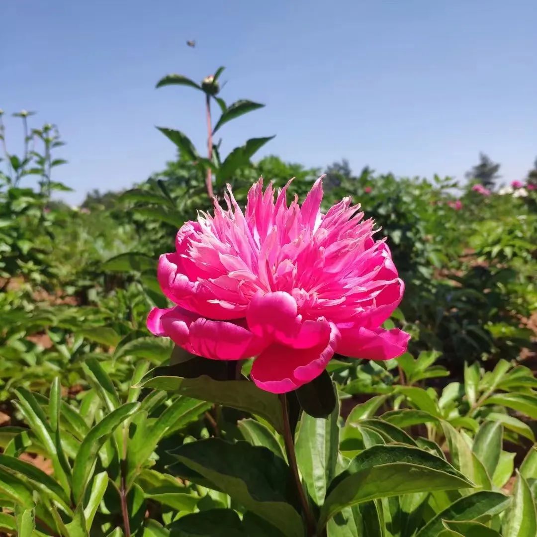 昆明阳宗海风景名胜区