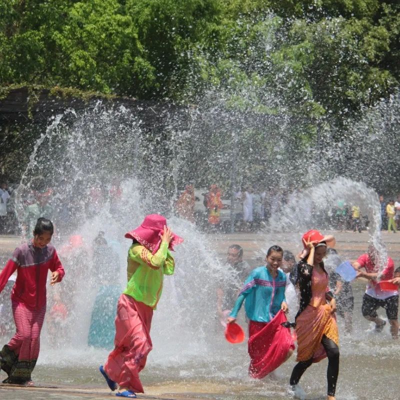 西双版纳望天树景区