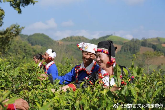 昆明晋宁发布