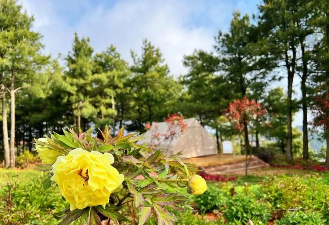 昆明阳宗海风景名胜区