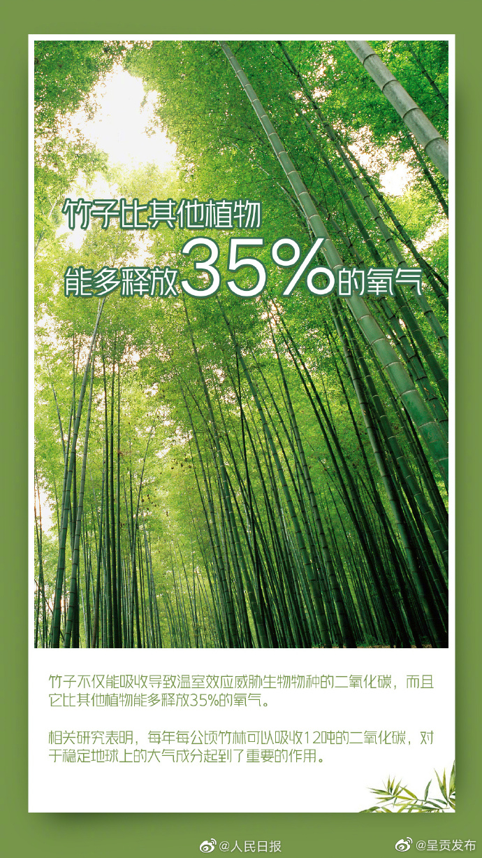 呈贡发布