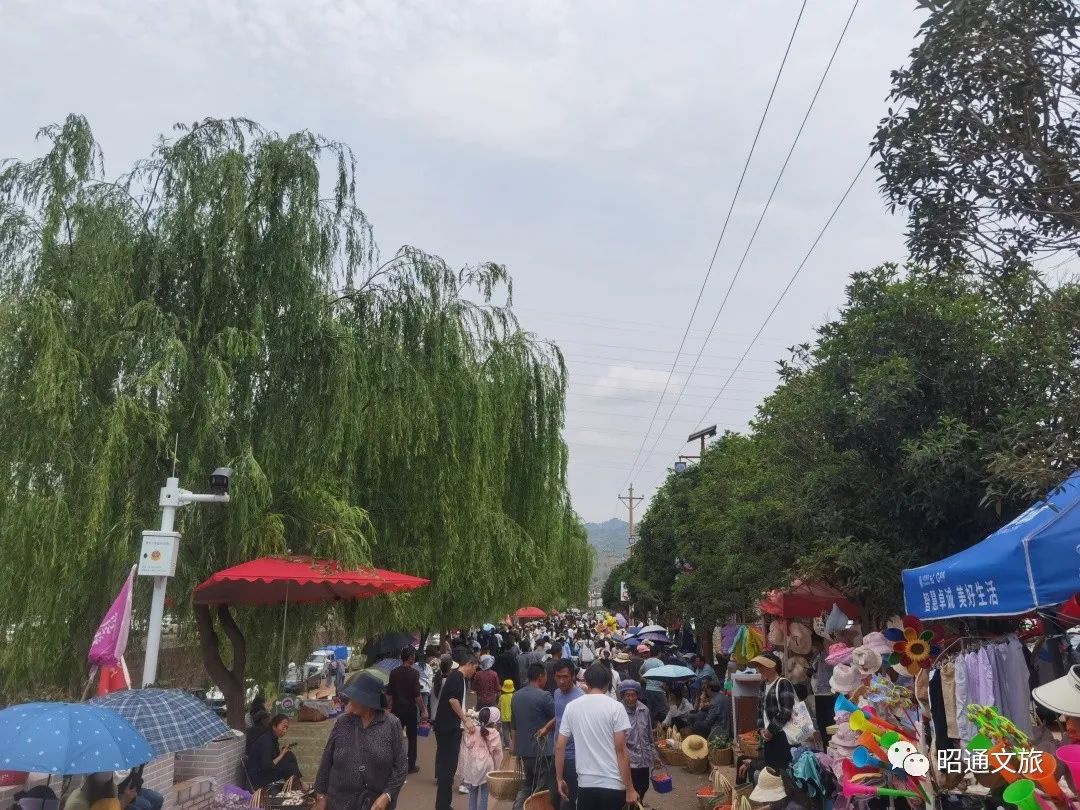 昆明信息港/cnkmxxg