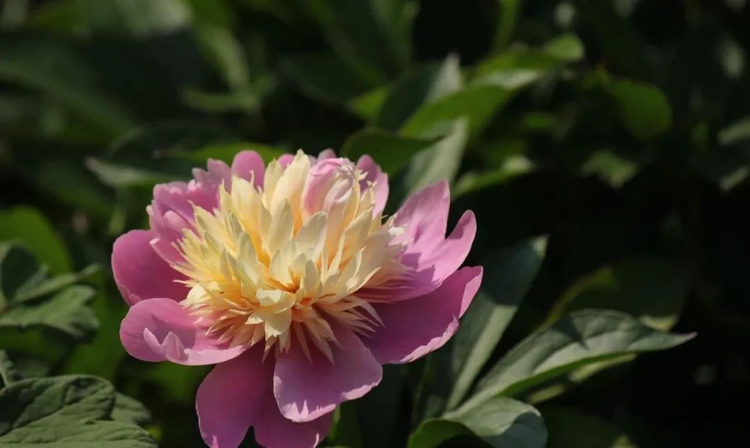 昆明阳宗海风景名胜区