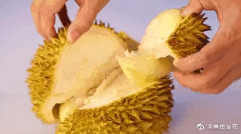 呈贡发布