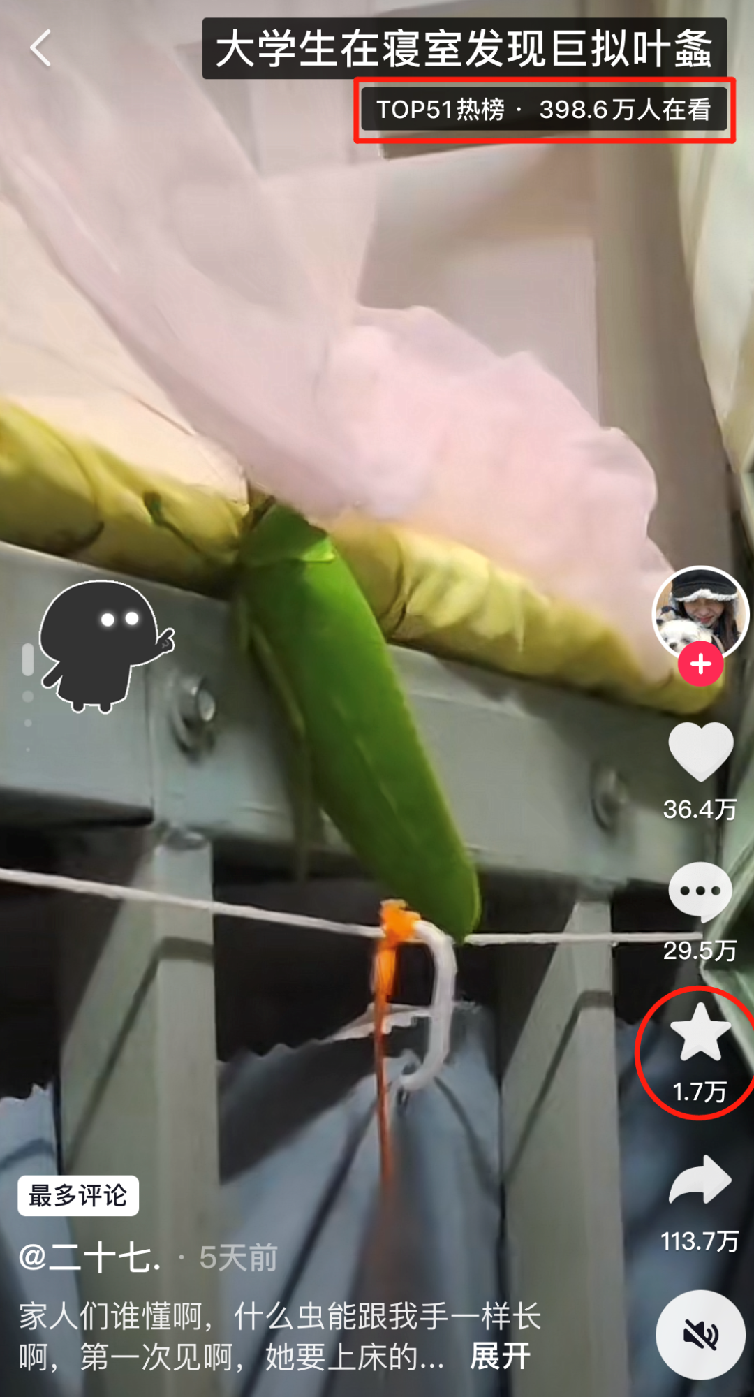 掌上春城