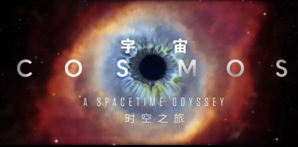 云图自然博物分馆周六活动预告