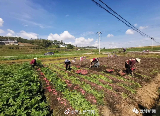 保山新闻网