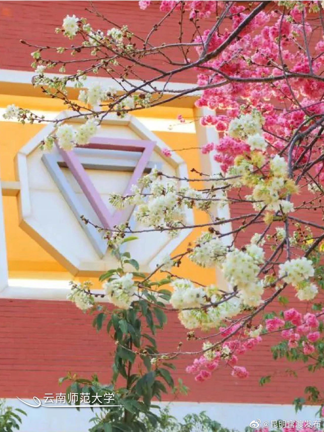 “昆明官渡发布”微博