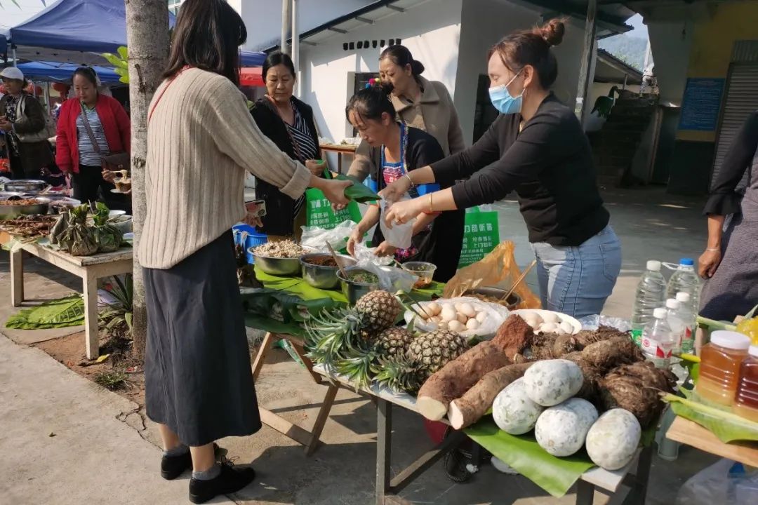 西双版纳望天树景区