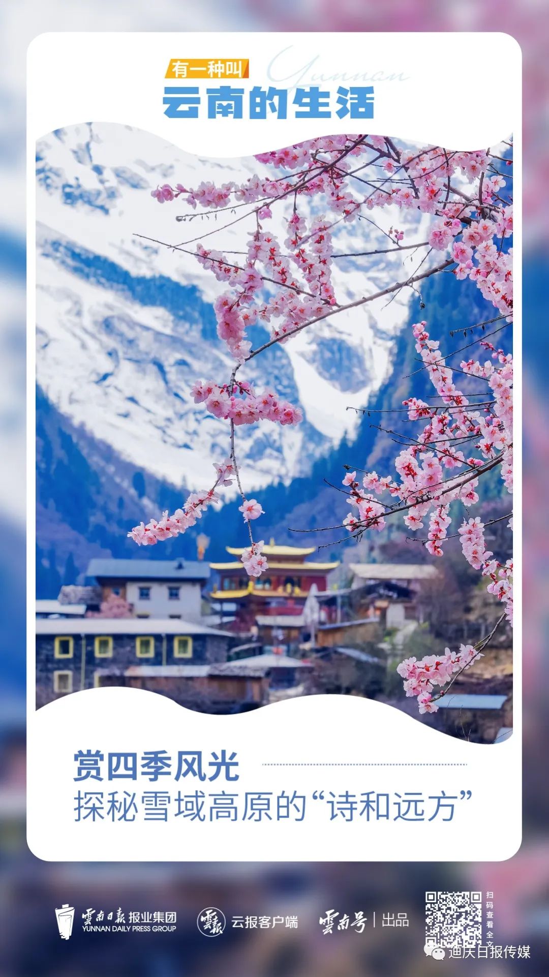 迪庆日报传媒