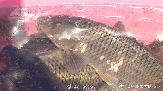 滇池旅游度假区