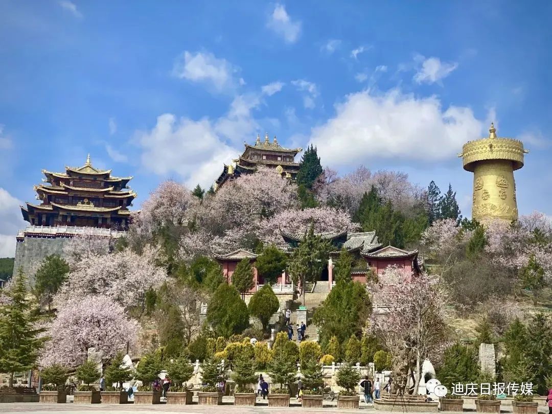 迪庆日报传媒