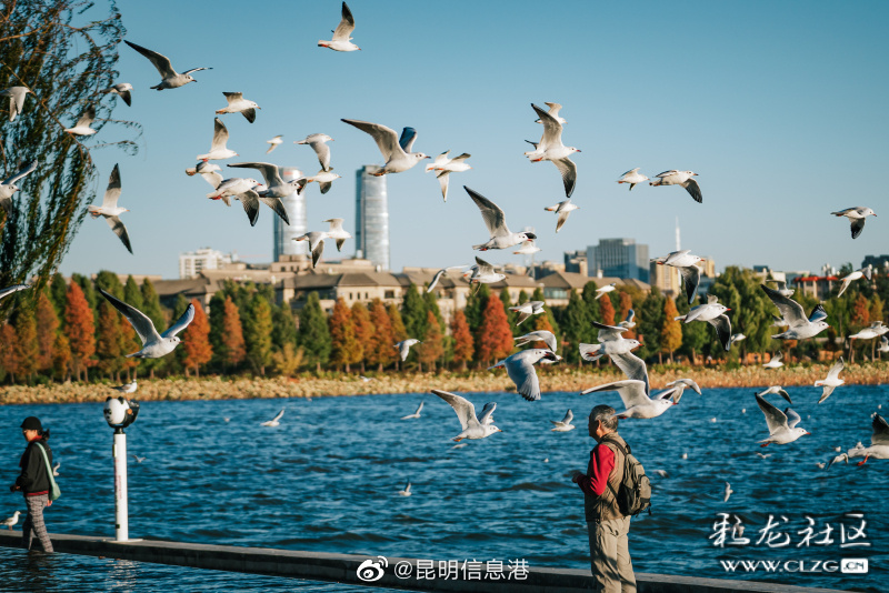 昆明信息港