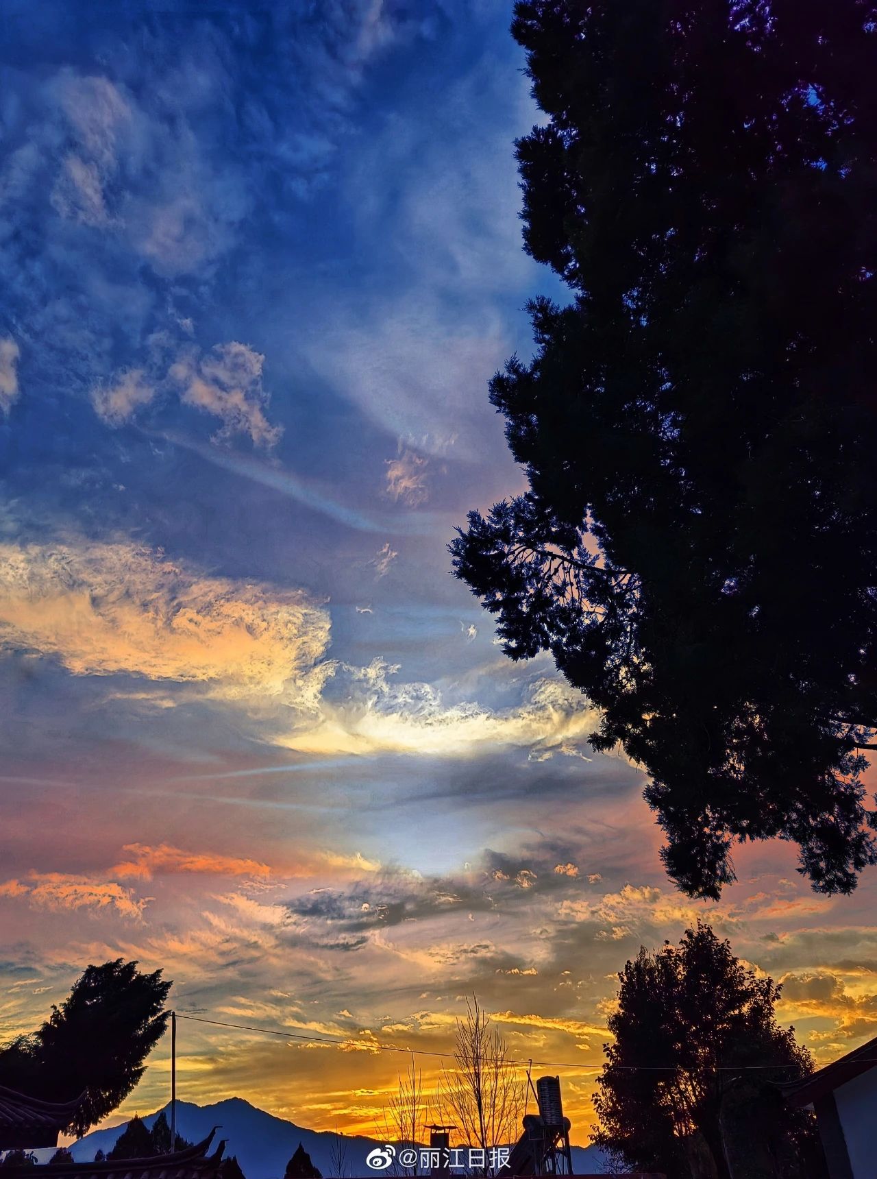 云南省文化和旅游厅