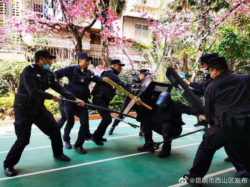 昆明市西山区发布