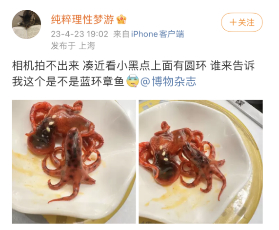 掌上春城