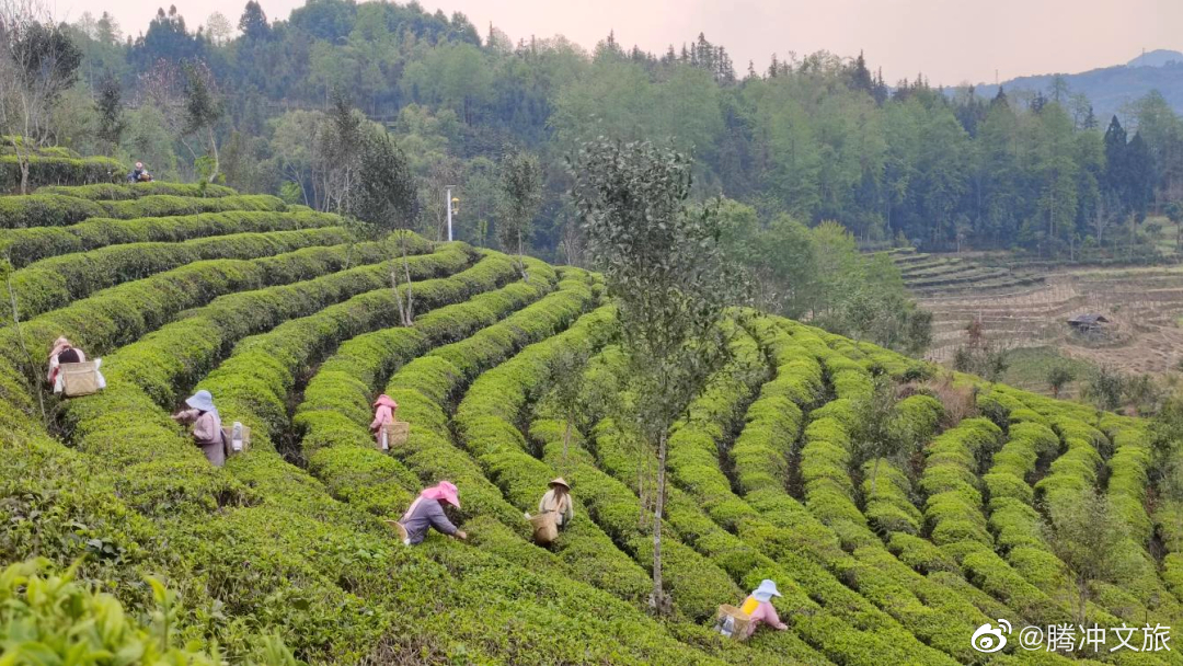 腾冲文旅