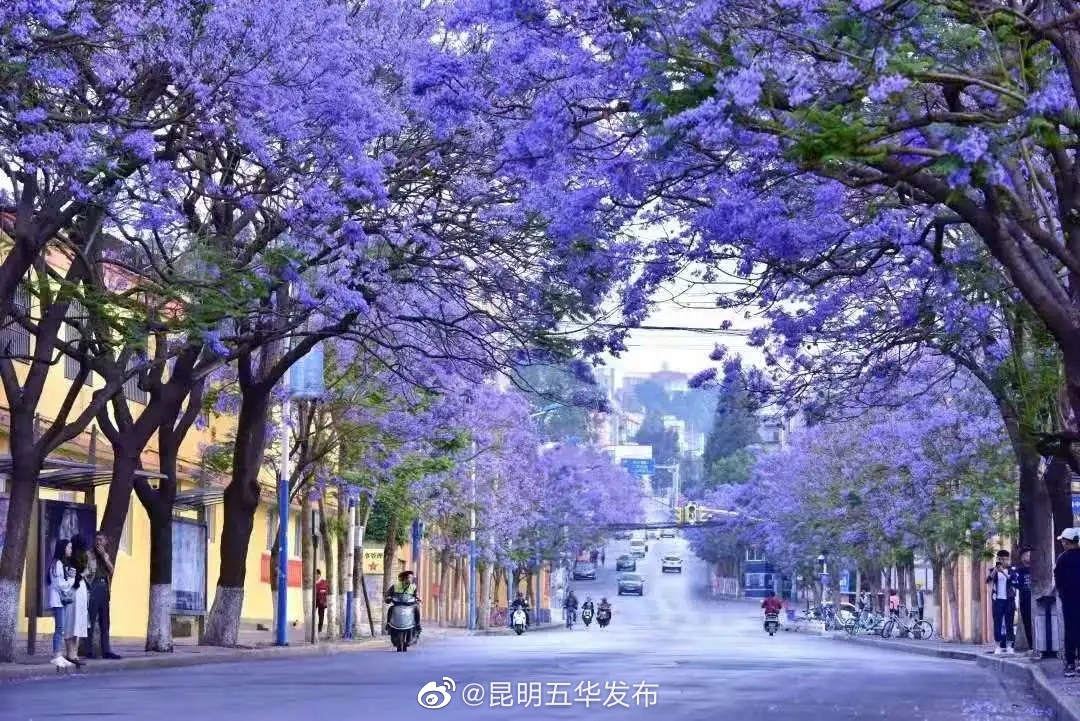 昆明五华发布