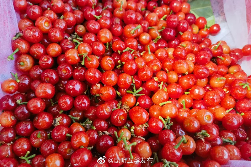 昆明五华发布