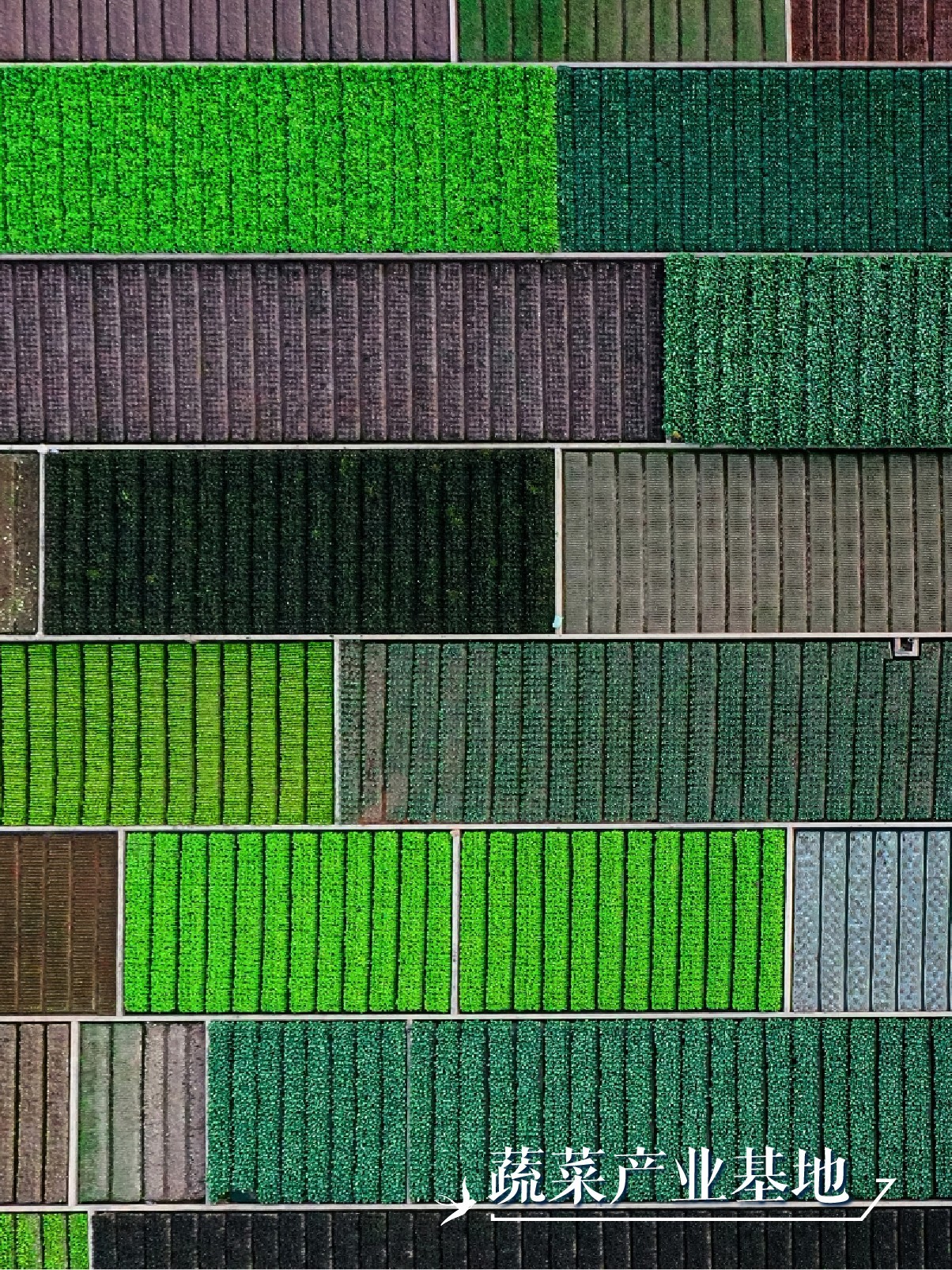 云南省文化和旅游厅