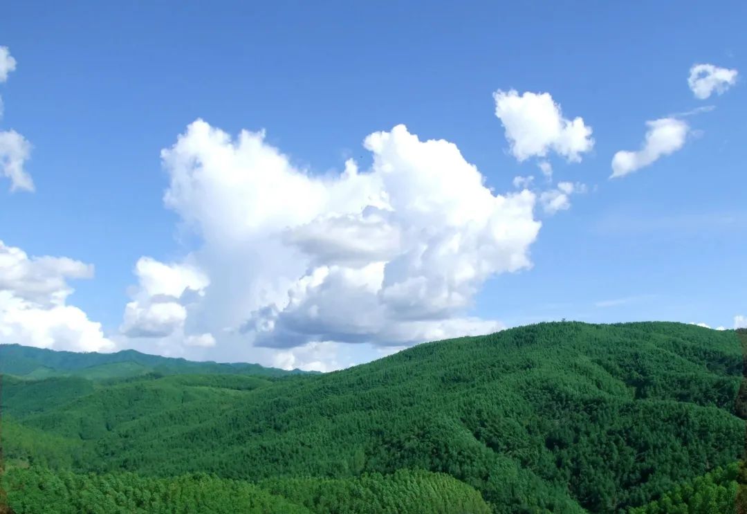 普洱日报