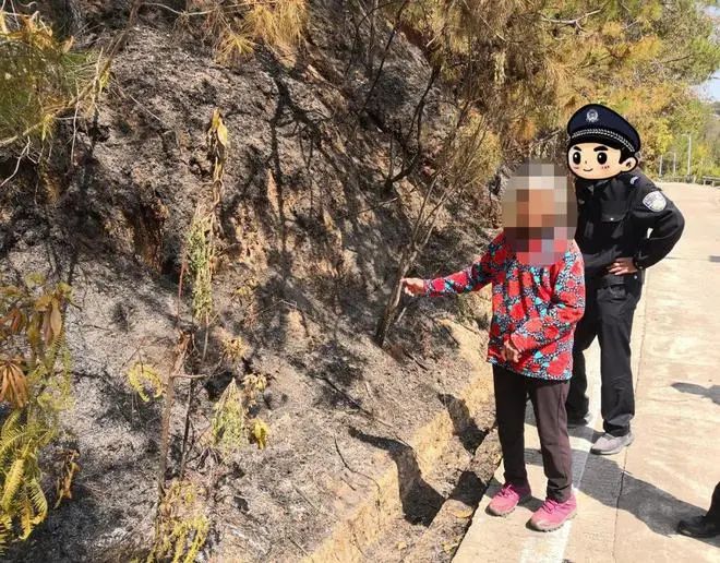 保山新闻网