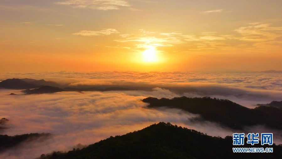 云南省文化和旅游厅