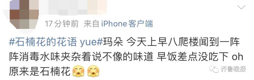 春城晚报