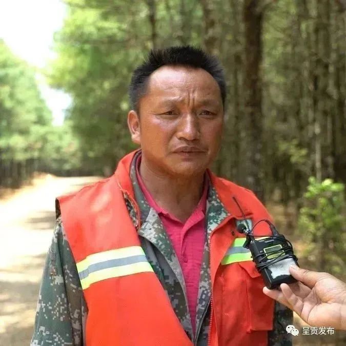 呈贡发布