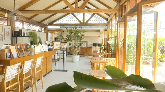 昆明信息港/cnkmxxg