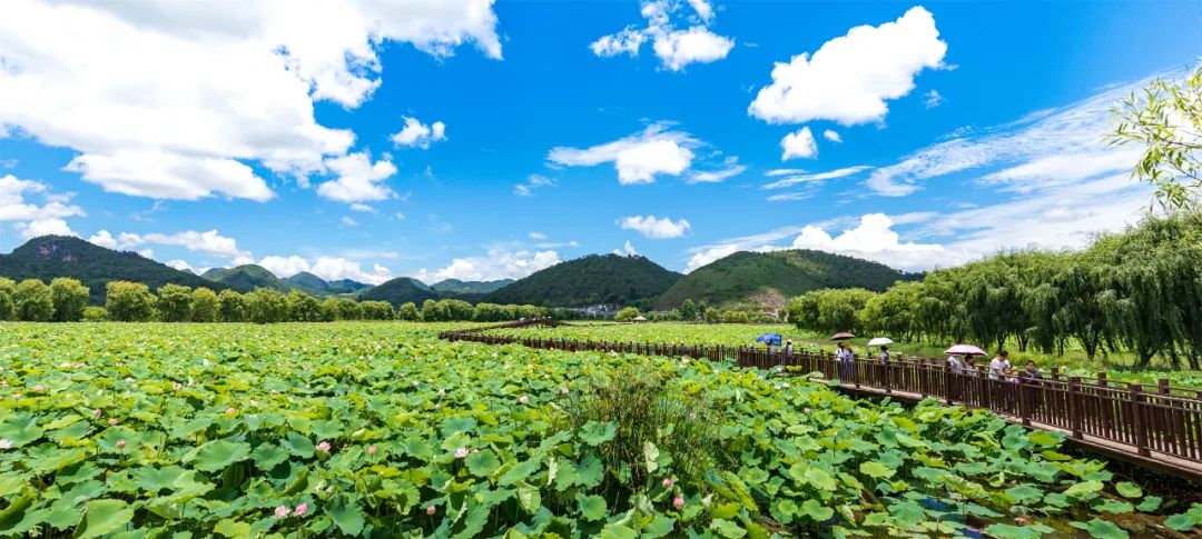 保山新闻网