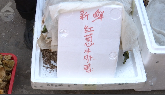 掌上春城