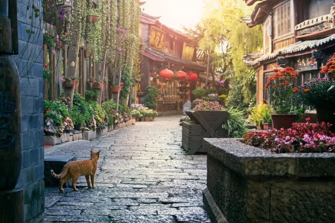 云南省文化和旅游厅