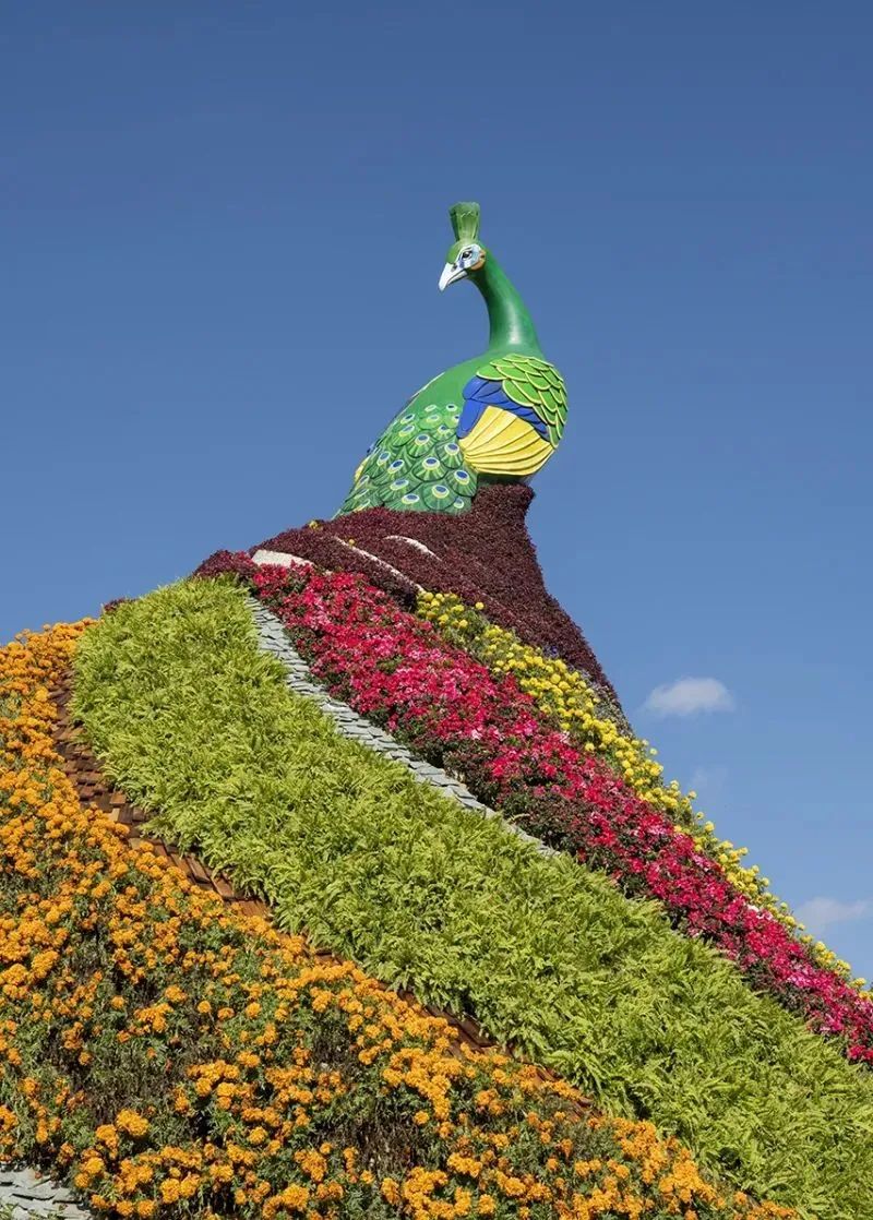 昆明文旅
