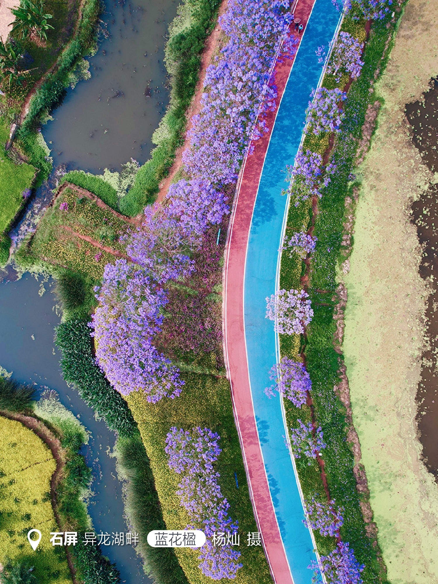 云南省文化和旅游厅