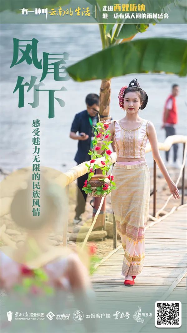 西双版纳先锋