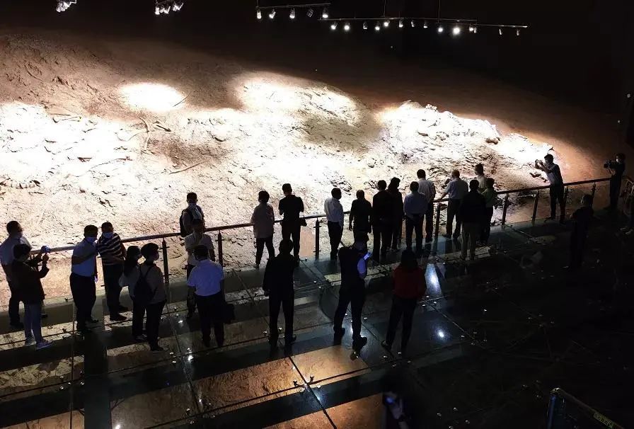 云南省文化和旅游厅