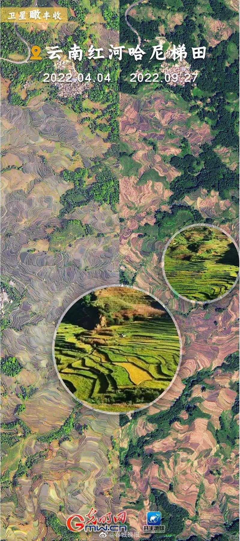 春城晚报