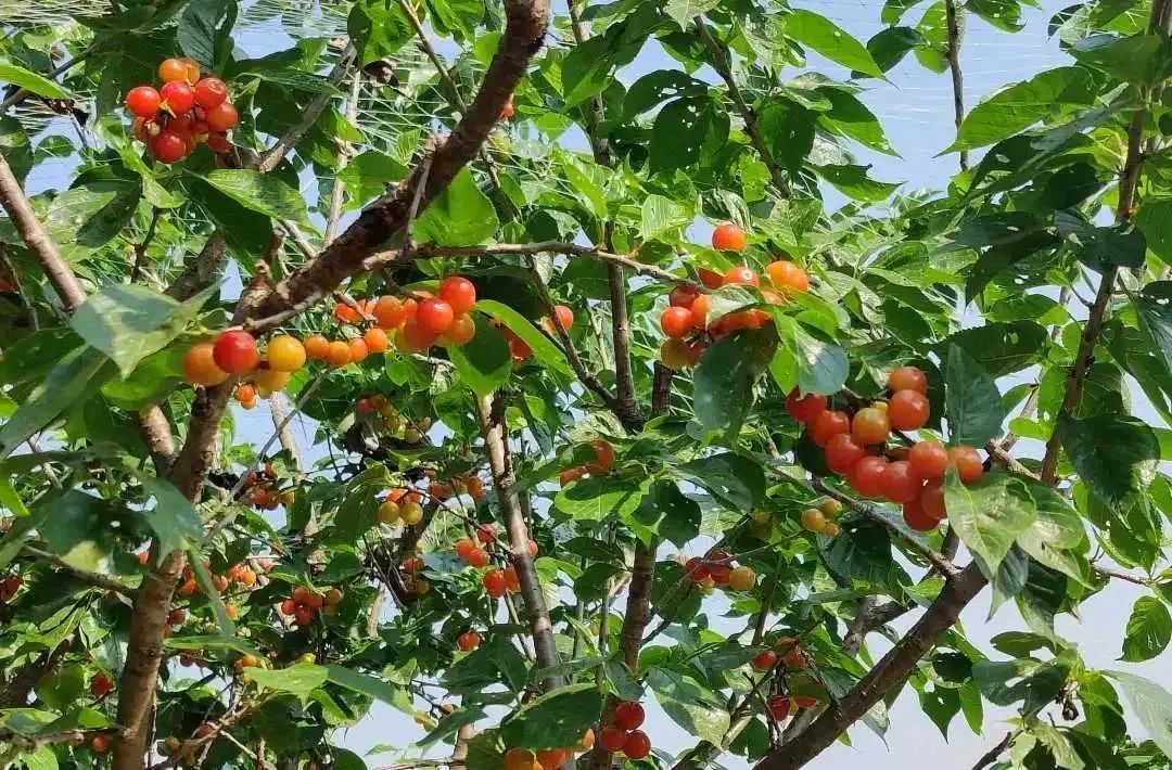 晋宁诗意的栖居地