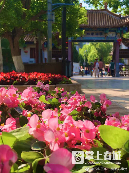 五华区华山街道办事处